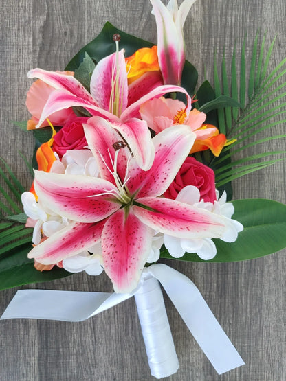 Lilium Stargazer pack of 2