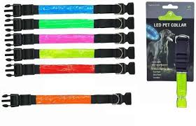 Dog Light Up Collar